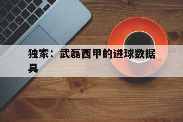 独家：武磊西甲的进球数据具的简单介绍